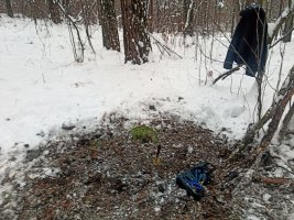 IMG_20221113_113346.jpg