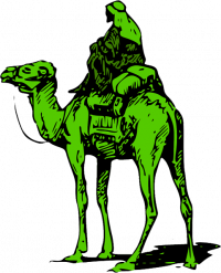 Silk_Road_Camel копия.png