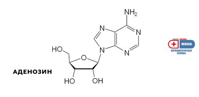 Аденозин.jpg