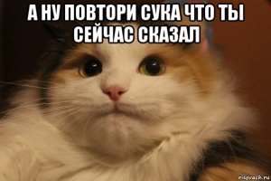 котти.jpg