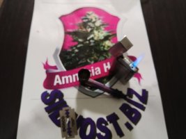 IMG_20230206_073559.jpg