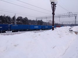 IMG_20230207_093631.jpg