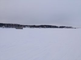 IMG_20230221_085900.jpg