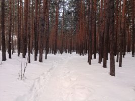 IMG_20230222_090340.jpg