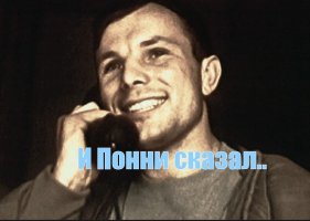 meme (1).jpg