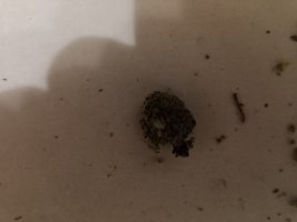 IMG_20230604_224842.jpg