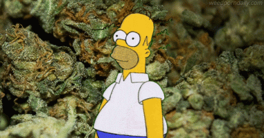 tumblr_mvg4wpMidE1sgaq12o1_r1_500-3326806928.gif