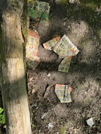 IMG_8941.jpeg