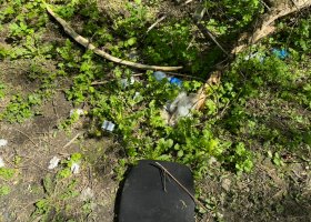 IMG_8943.jpeg