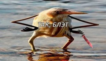 1718305674580.jpeg