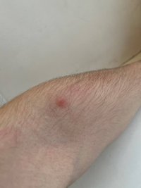 hand2.jpg