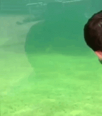 VID_20250425_074653_029.gif