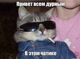 72c53abf5f41244a696a25be73c1b74e.jpg