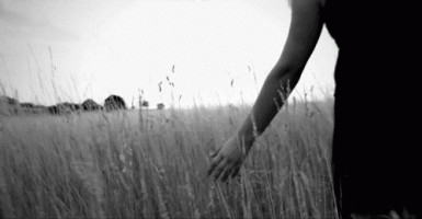 hand on grass.gif