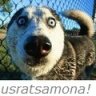 usratsamona