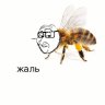 ne_bydlo