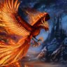 PREMIUM PHOENIX 52