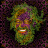 Shulgin